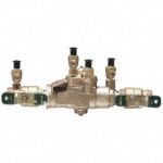 Check Valves and Backflow Preventers