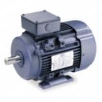 Three Phase IEC Metric Motors