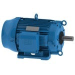 Cooling Tower Motors