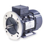 Metric Three Phase Motors