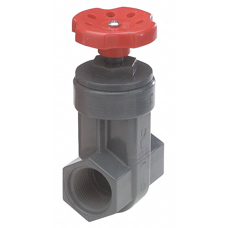 NDS Gate Valve, PVC, FNPT Connection Type, Pipe Size - Valves 1/2 in - GVG-0500-T