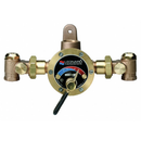 Leonard 3/4 in FNPT Inlet Type Steam and Water Mixing Valve, Lead Free Rough Bronze, 30 gpm - TMS-50-RF