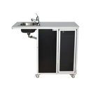 Monsam PSE-2020 ADA Stainless Steel Sink