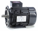 Leeson 2 HP Metric Motor,3-Phase,3455 Nameplate RPM,230/460 Voltage,Frame D90SD - 192210