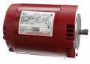 Century 1 HP Water Circulator Motor, 3-Phase, 1725 Nameplate RPM, 208-230/460 Voltage, Frame 56CZ - H1043L