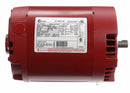 Century 1 HP Water Circulator Motor, 3-Phase, 1725 Nameplate RPM, 208-230/460 Voltage, Frame 56CZ - H1043L