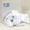 Top Brand Cloth Rag, Terry Cloth, White, 14 in x 17 in, 10 lb - G206010PC