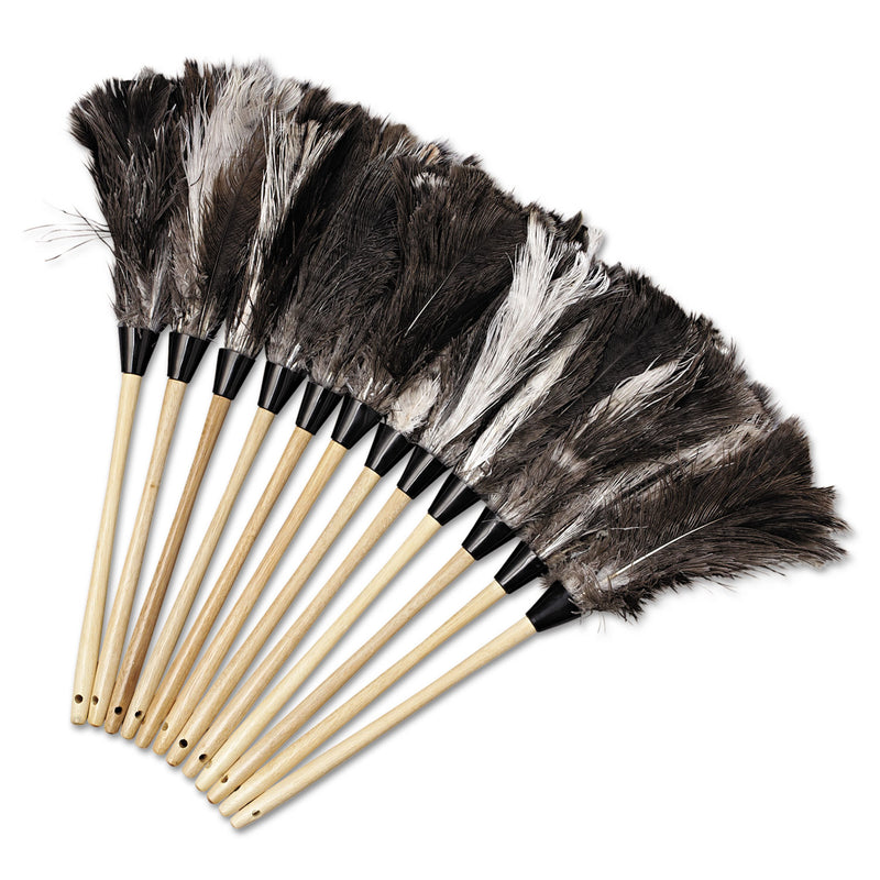 Boardwalk Professional Ostrich Feather Duster, 13" Handle - BWK23FD