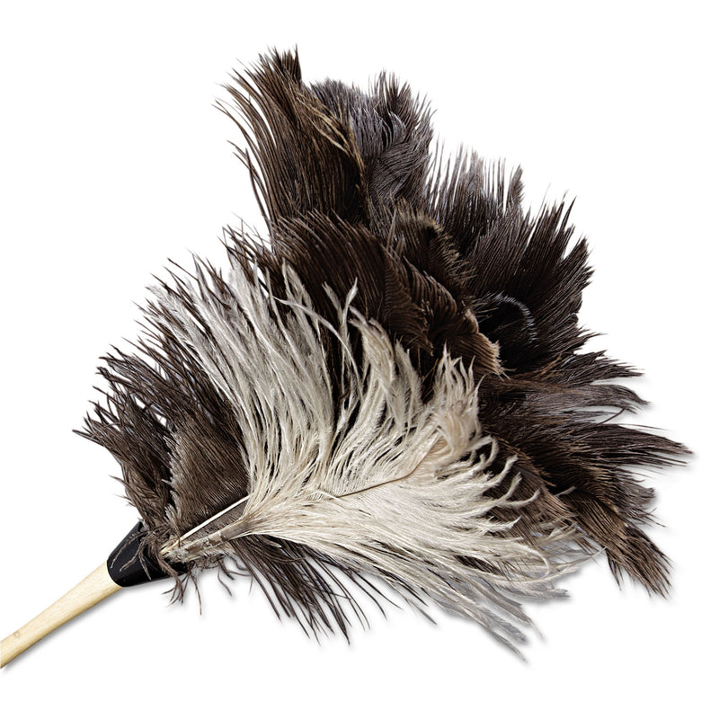 Boardwalk Professional Ostrich Feather Duster, 7" Handle - BWK13FD