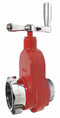 Elkhart Inline Fire Hydrant Gate Valve, Inlet Size 2 1/2 in FNST, Outlet Size 2-1/2 in MNST - X-86-A