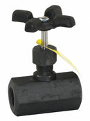 Apollo Globe Valve, FNPT x FNPT, Carbon Steel, 3/8 in Pipe Size - Valves - 60B10224