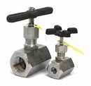 Apollo Globe Valve, FNPT x FNPT, 316 Stainless Steel, 1/4 in Pipe Size - Valves - 60B70101