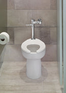 American Standard Exposed, Top Spud, Manual Flush Valve, For Use With Category Toilets, 1.28 Gallons per Flush - 6047122.002