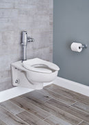 American Standard Exposed, Top Spud, Automatic Flush Valve, For Use With Category Toilets, 1.1 Gallons per Flush - 6065111.002