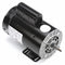 Century 1/3, 4 HP Pool and Spa Pump Motor, Capacitor-Start, 230V, 56Y Frame - B2235