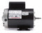 Century 3 HP Pool and Spa Pump Motor, Permanent Split Capacitor, 230V, 56Y Frame - B237