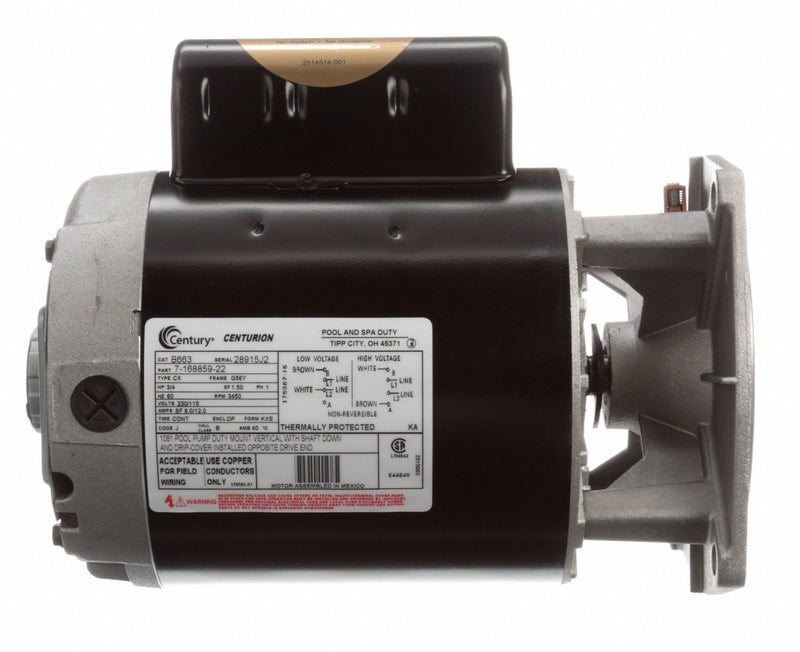 Century 3/4 HP Pool and Spa Pump Motor, Permanent Split Capacitor, 115/230V, 56Y Frame - B663