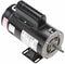 Century 1/4, 2 HP Pool and Spa Pump Motor, Capacitor-Start, 230V, 56Z Frame - SDS1202