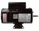Century 1/4, 2-1/2 HP Pool and Spa Pump Motor, Capacitor-Start, 230V, 56Z Frame - SDS1252