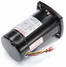 Century 1/2 HP Pool and Spa Pump Motor, 3-Phase, 208-230/460V, 48Y Frame - Q3052