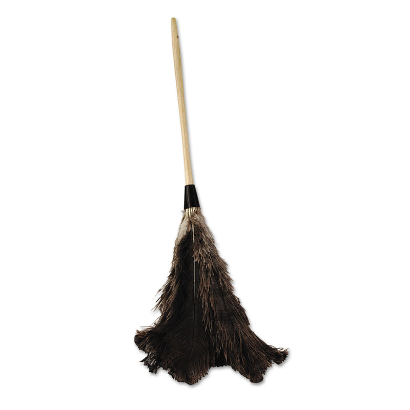 Boardwalk Professional Ostrich Feather Duster, 16" Handle - BWK28GY