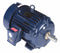 Marathon Motors 30 HP, IEEE 841 Motor, 3-Phase, 1770 Nameplate RPM, 230/460 Voltage, 286T Frame - 286THFCD9026