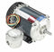 Marathon Motors 1/3 HP Hazardous Location Motor,Capacitor-Start,1725 Nameplate RPM,115/208-230 Voltage,Frame 56 - 056C17G5315