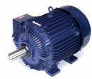 Marathon Motors 100 HP Hazardous Location Motor,3-Phase,1785 Nameplate RPM,460 Voltage,Frame 405T - 405TTFCD6536