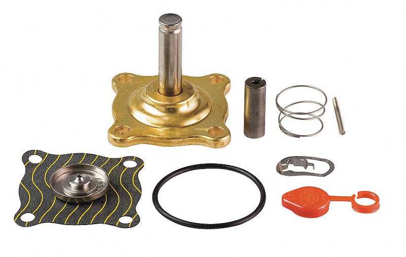 ASCO 302277 - Valve Rebuild Kit With Instructions