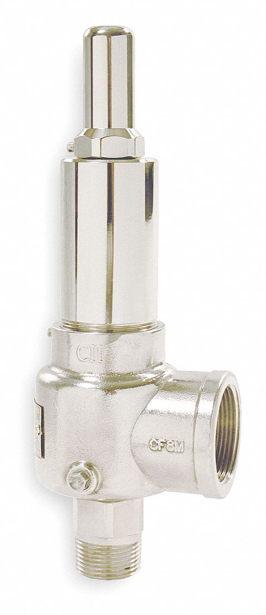 Apollo Stainless Steel POP Safety Relief Valve, MNPT Inlet Type, FNPT Outlet Type - 543EEBKMAA0300
