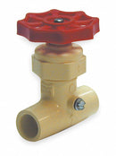 Top Brand 1/2 in CPVC CPVC Stop and Waste Valve - 105-323