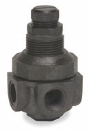 Watts Pressure Regulator, Thermoplastic, 0 to 125 psi - p-60