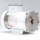 Dayton DC Washdown Motor, DC Permanent Magnet, 1/2 HP - 1F650A