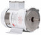 Dayton DC Washdown Motor, DC Permanent Magnet, 1/4 HP - 1F654A