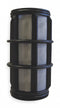 Amiad 5 in Stainless Steel Filter Screen with 26.00 sq in Screen Area, Black - 700101-000336