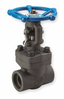 Top Brand Outside Stem and Yoke Gate Valve, Valve Class Class 800, Forged Carbon Steel - SV34834SW002