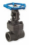 Top Brand Outside Stem and Yoke Gate Valve, Valve Class Class 800, Forged Carbon Steel - SV34834SW004
