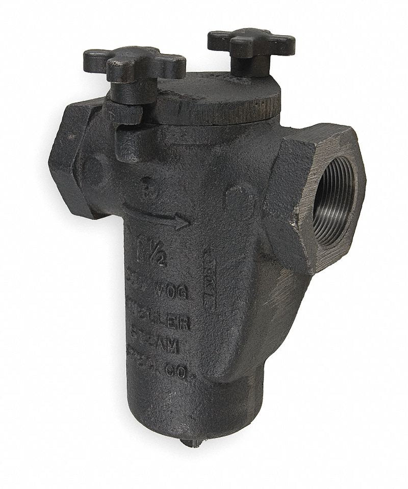 Mueller Steam Specialty Basket Strainer 1-1/2", FNPT x FNPT, BunaN - 11/2 125 CI Iron body screwed