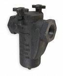 Mueller Steam Specialty Basket Strainer 3/4", FNPT x FNPT, BunaN - 3/4 125 CI Iron Body Screwed