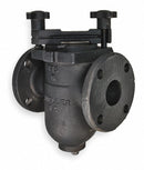 Mueller Steam Specialty Basket Strainer2-1/2", Flanged, BunaN - 2-1/2 97FIB 155M-N Iron body flanged