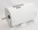 Dayton 3/4 HP Washdown Motor,3-Phase,1745 Nameplate RPM,230/460 Voltage,Frame 56C - 1TRZ4