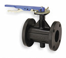 Nibco Flanged-Style Butterfly Valve, Cast Iron, 200 psi, 2 1/2 in Pipe Size - FC27653 21/2