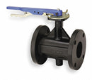 Nibco Flanged-Style Butterfly Valve, Cast Iron, 200 psi, 6 in Pipe Size - FC27653 6