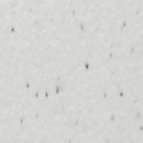 Hadrian Toilet Partition, 1 Between Wall Compartment, Plastic, 36"W x 62"D - BW13660-PL-HADRIAN