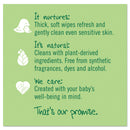 Seventh Generation Free & Clear Baby Wipes, Unscented, White, 64/Pk, 12 Pk/Ct - SEV34208CT