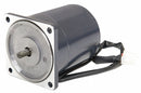 Dayton DC Motor, PM, TENV, 1/8 HP, 2920 rpm, 24VDC - 23L405