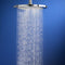 American Standard Shower Head, Wall Mounted, Chrome, 2.5 gpm - 1660683.002