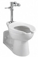 American Standard Exposed, Top Spud, Manual Flush Valve, For Use With Category Toilets, 1.28 Gallons per Flush - 6047122.002