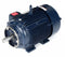 Marathon Motors 20 HP Vector Motor,3-Phase,1775 Nameplate RPM,230/460 Voltage,Frame 256TC - 256THFNA8038