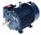 Marathon Motors 25 HP Vector Motor,3-Phase,1765 Nameplate RPM,230/460 Voltage,Frame 284T - 284THFPA8028